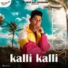 About Kalli Kalli Song