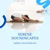 Serene Soundscapes