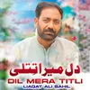 About Dil Mera Titli Song