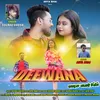 About Dewana Song