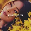 About Numbers Song