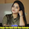 About Aaygo Tero Byah Lado Kese Rahenge Song