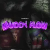 Muddy flow