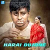 About Harai Dujone Song