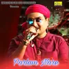 About Parlam Nare Song