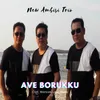 About Ave Borukku Song