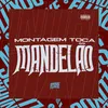 About Montagem Toca Mandelão Song