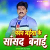 About Pawan Bhaiya Ke Sansad Banai Song