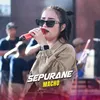 About Sepurane Song