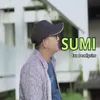 About Sumi Song