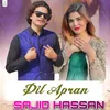 About Dil Apran Song