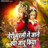 About Teri Murli Ne Jaane Kya Jaadu Kiya Song