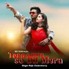 About Tera Chune Se Dil Mera Song