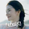 About ปาณิศา Song