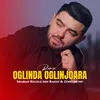 About Oglinda oglinjoara Song