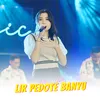 About Lir Pedote Banyu Song