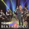 About Yumurta Song