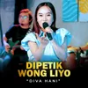 About Dipetik Wong Liyo Song