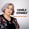 About Aşağıdan Gelir Omuz Omuza Song