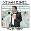 About Zalime Rese Song