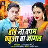 About Hoi Na Kam Abhi Babua Ba Jagal Song