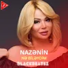 About Nə Biləydim Song