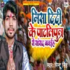 About Misa Didi Ke Patliputra Se Sansad Banaiha Song