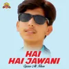 About Hai Hai Jawani Song