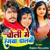 About Choli Me Rangaba Dalbau Song