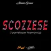 About Scozzese Song
