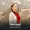 About Сен сұлу Song
