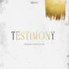 Testimony