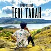 About Teri Tarah Song