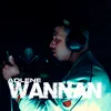 About Wannan Song
