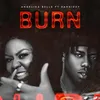 About Burn Song