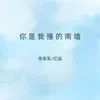 About 你是我撞的南墙 Song