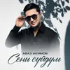 About Сени сүйдүм Song