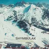 About Shymbulak Song