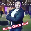 About Gora Gora Gal Song