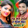 About Leke Bhag Jabo Ta Maiya Tohar Kanto Ge Song