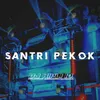 Santri Pekok