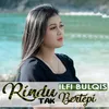 About Rindu Tak bertepi Song