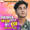 About Kemon Kore Geli Re Vule Song