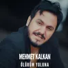 About Ölürüm Yoluna Song