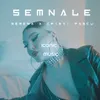 About Semnale Song