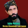 About Meena Khandahri Lari Janan Song