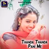 About Thanda Thanda Pani Me Song