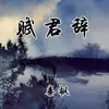 About 赋君辞 Song