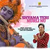About Shyama Teri Murli Nu Song