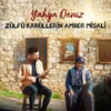 About Zülfü Kakülerin Amber Misali Song